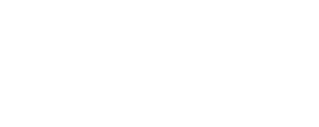 Elva Viviana Perez Logo